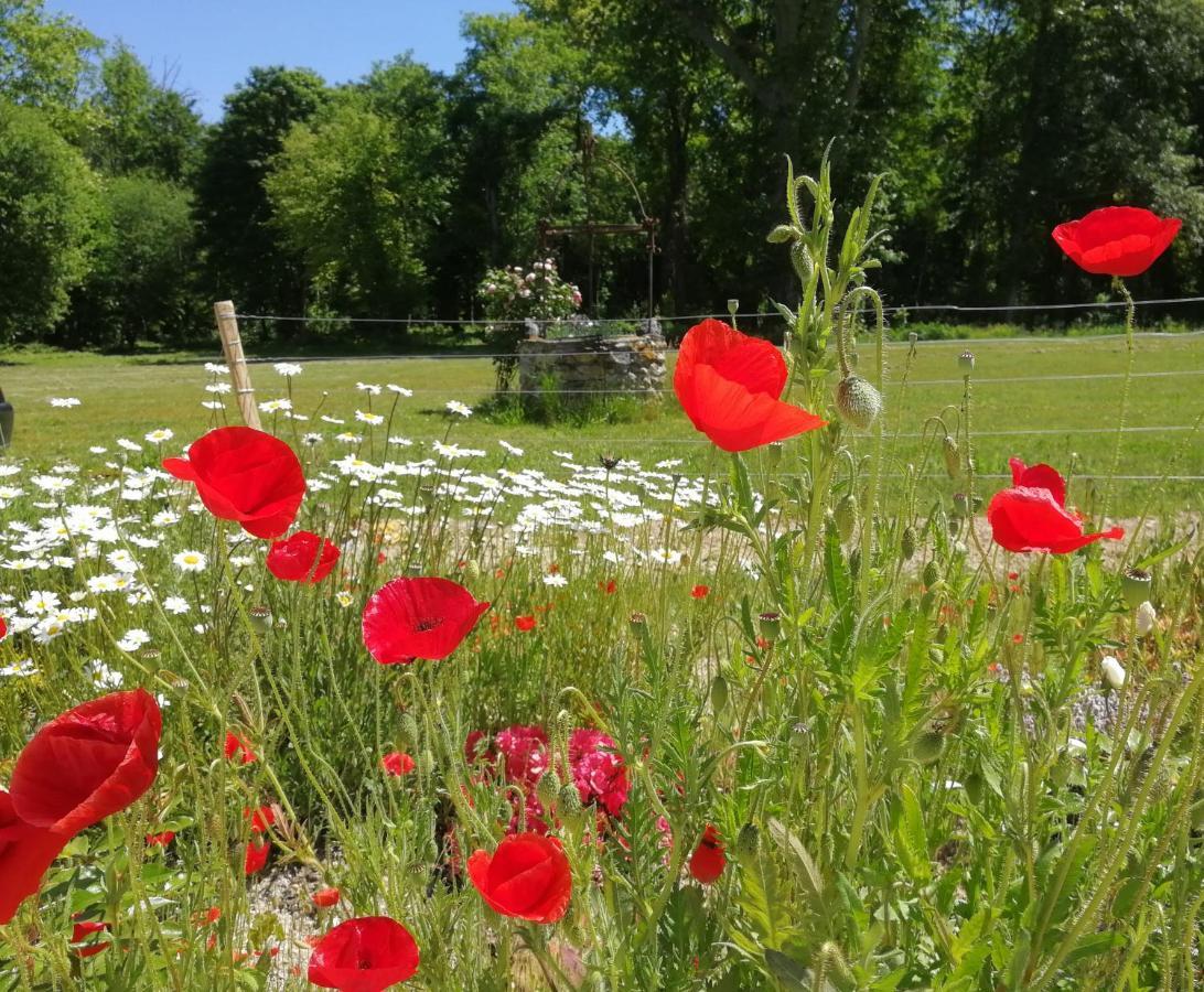Chateau De Courmelois Champagne Guest House Val de Vesle Екстериор снимка