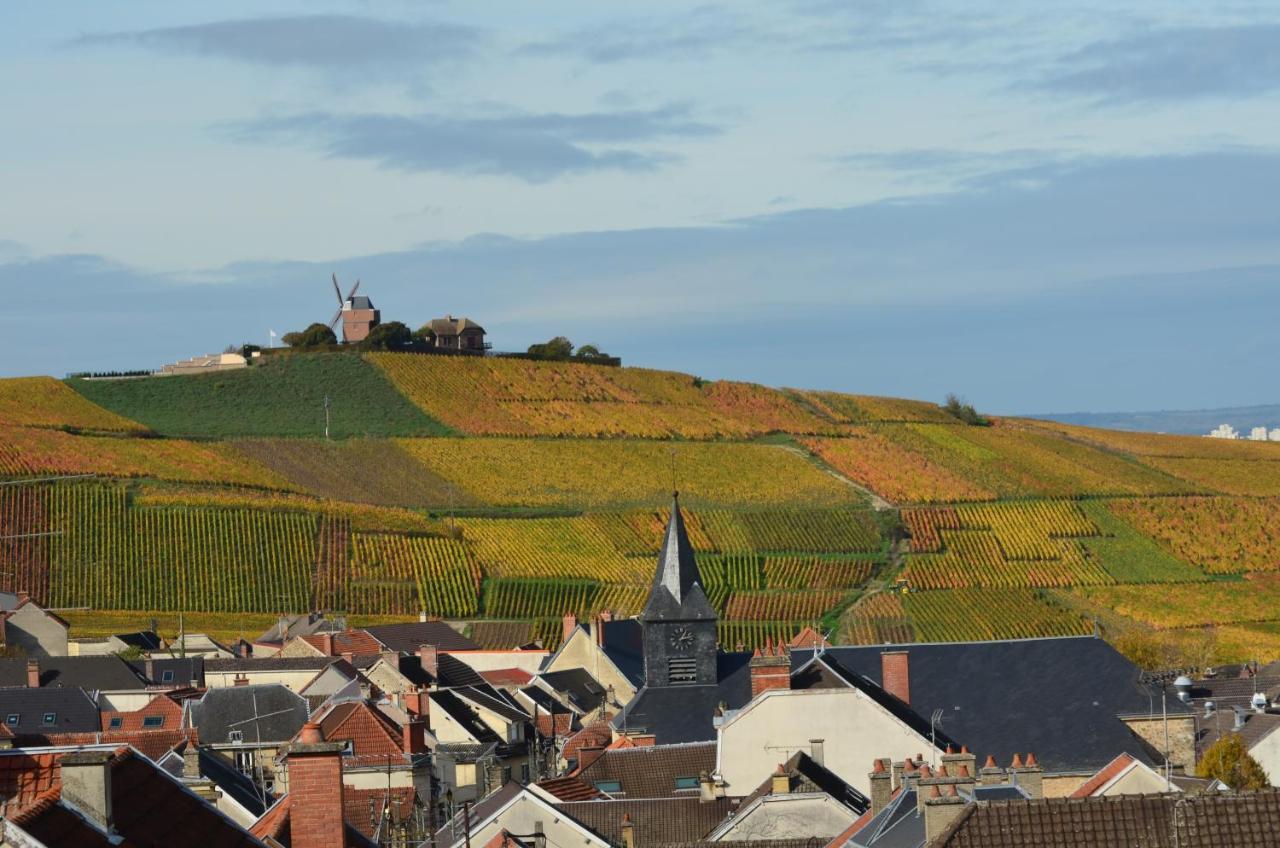 Chateau De Courmelois Champagne Guest House Val de Vesle Екстериор снимка